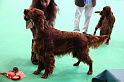 Crufts2011 283